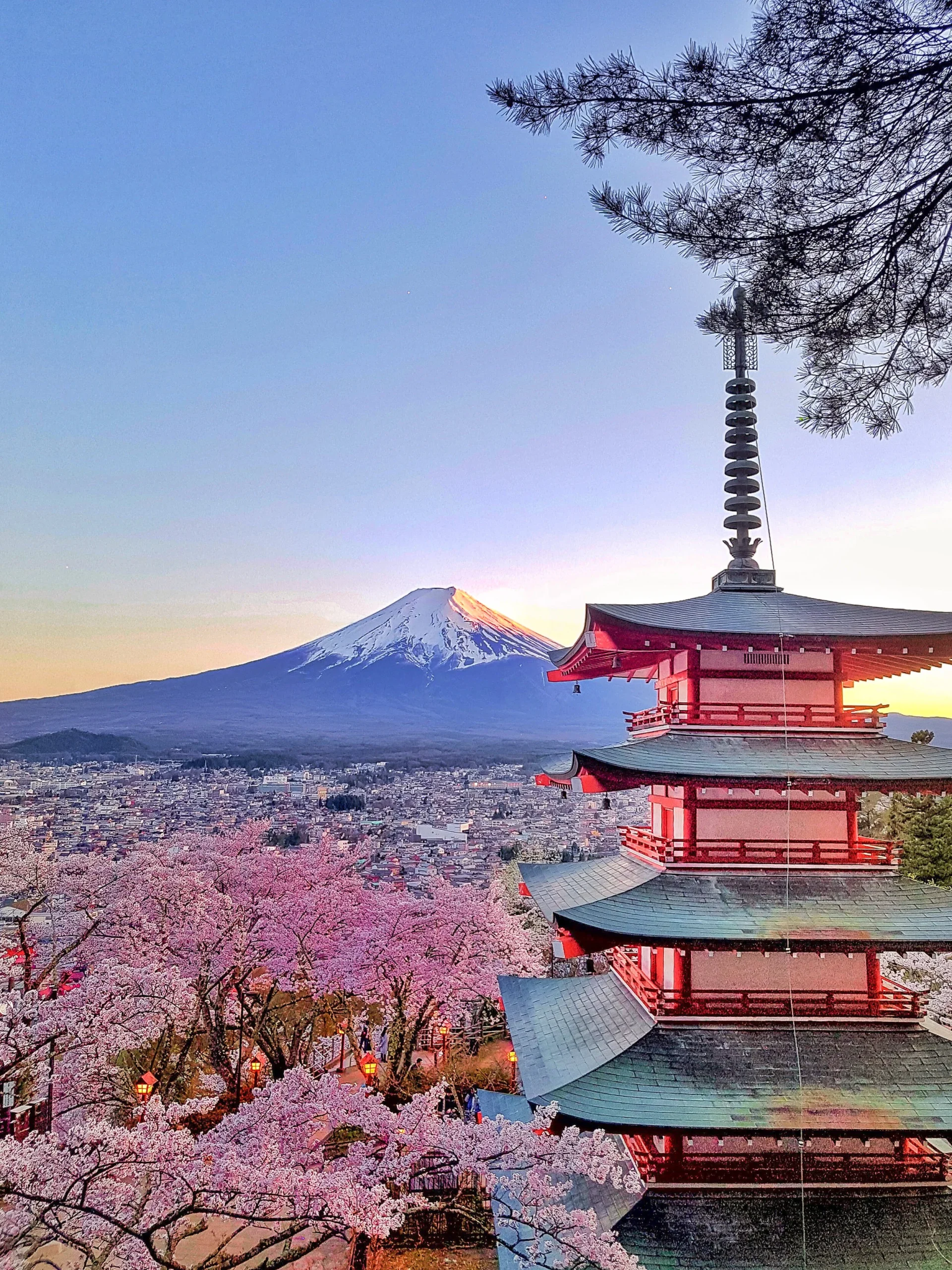 26+things+to+know+before+traveling+to+japan+for+the+first+time +etiquette+and+cultural+guide+ +helena+bradbury+travel+blog+ +how+to+prepare+for+a+trip+to+japan+ +tips+for+traveling+in+japan+ +japan+travel+ti